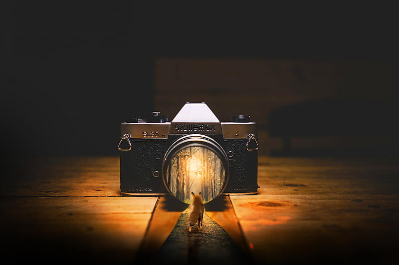 Camera Fox